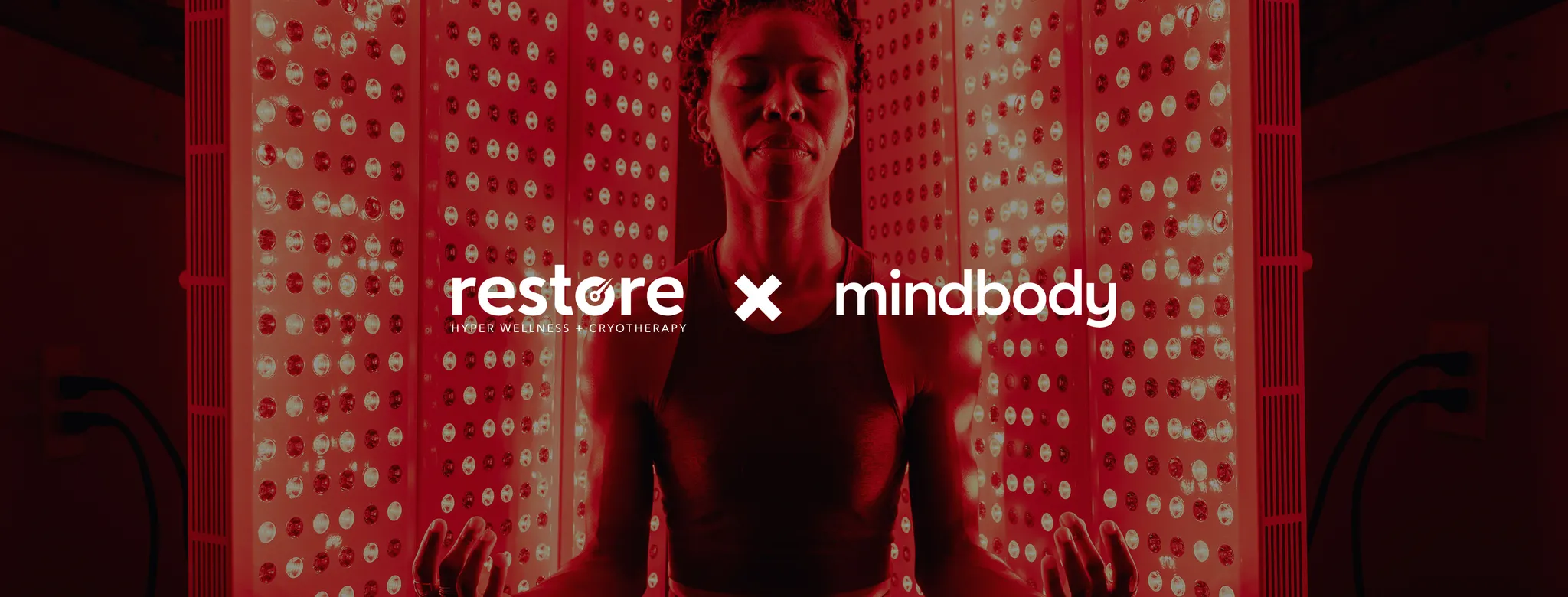 restore 
